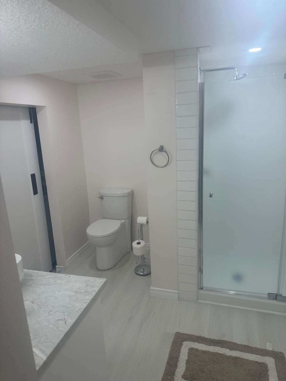 Finished basement bathroom looking across the quartz vanity to comfort-height toilet, glass shower with subway tile and barn door